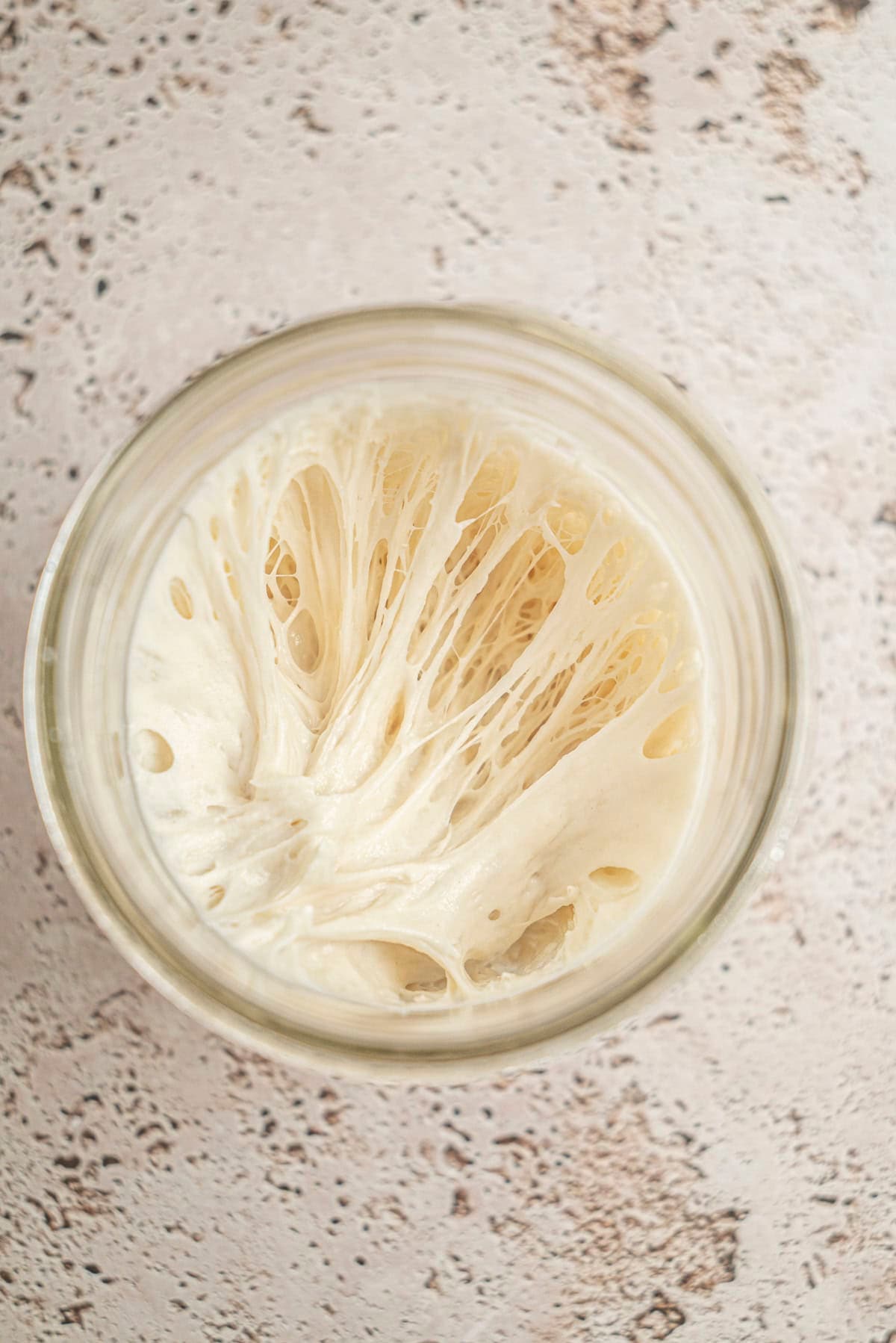 Sourdough Starter Maintenance